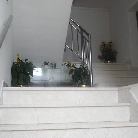 Apartments Ivanka Zadar Exterior photo