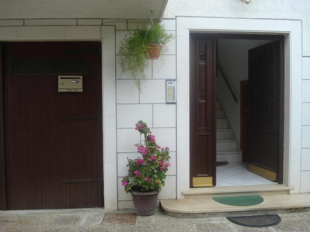 Apartments Ivanka Zadar Exterior photo